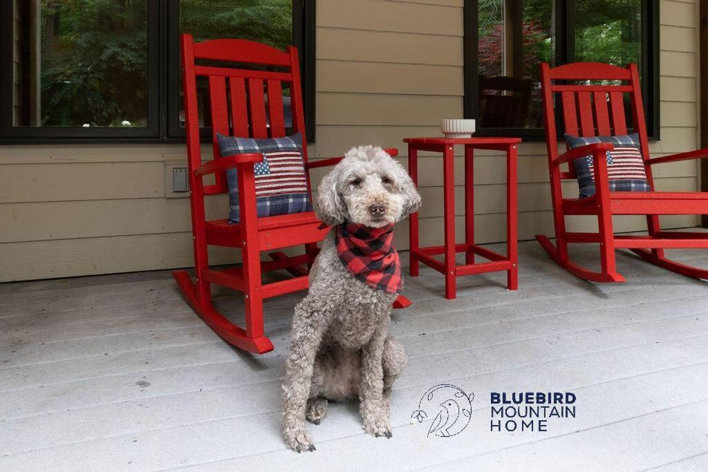 Bluebird Mountain Home Mount Torry Furnace Luaran gambar